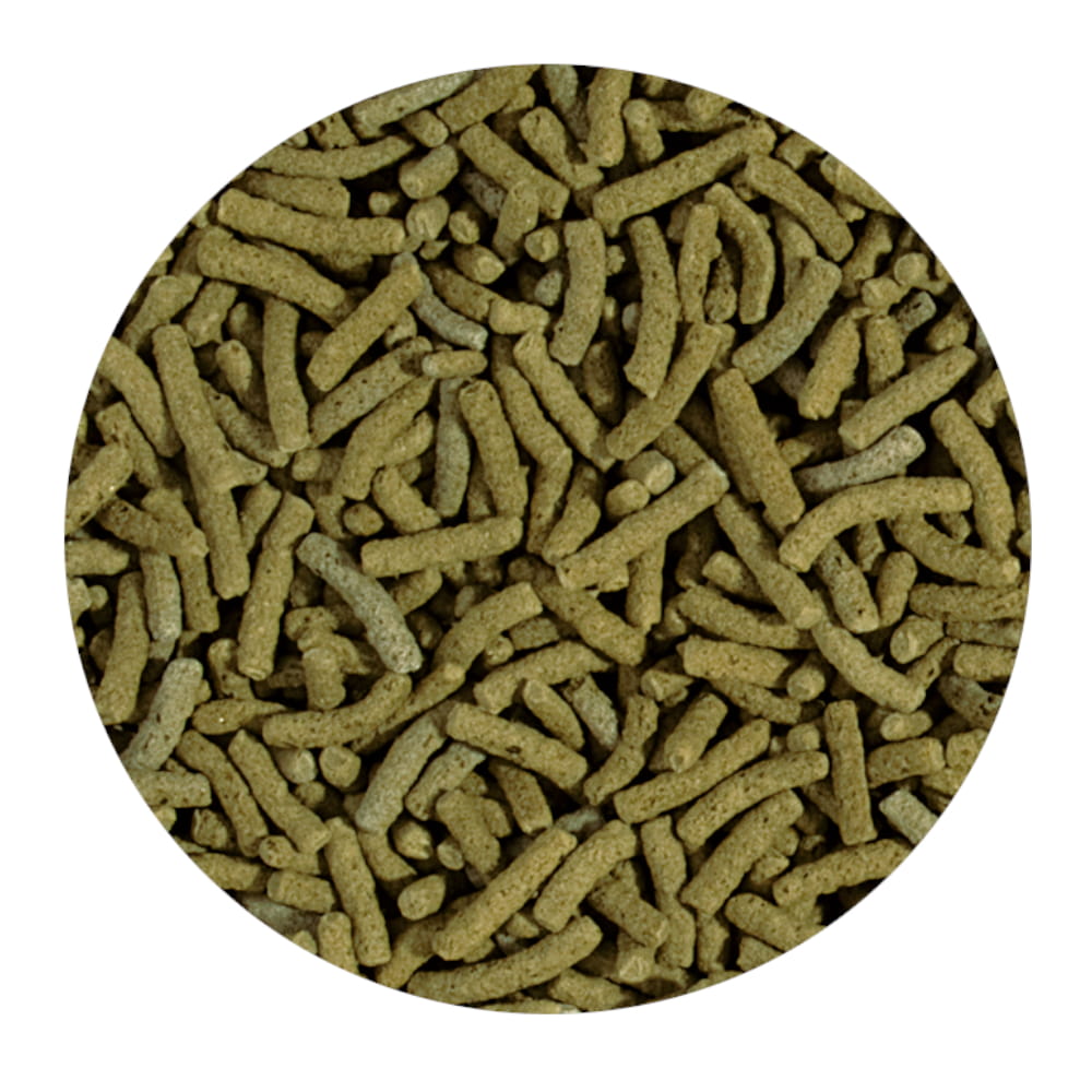 koi gold spirulina.jpg